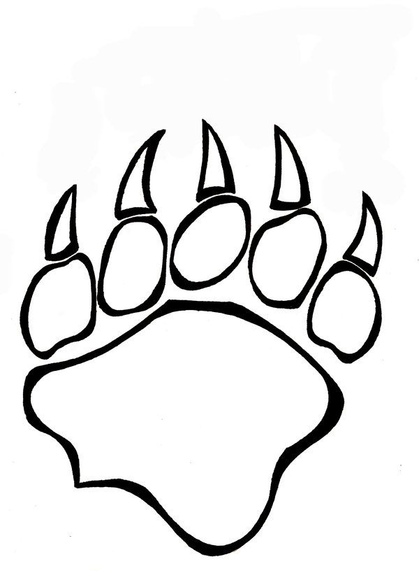 pics Bear Footprint Outline clipart library