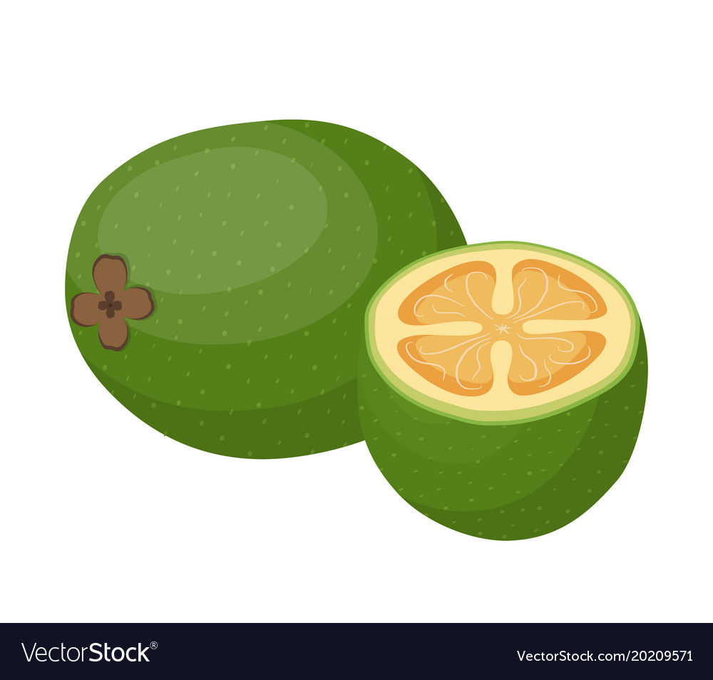 wallpapers Cartoon Feijoa summer tropical fruits for healthy lifestyle feijoa whole fruit