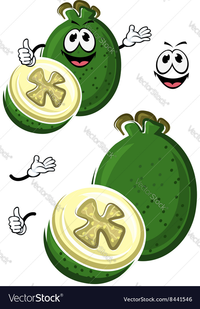 pics Cartoon Feijoa https www alamy com surprised feijoa fruit slices on cartoon plate image230348612 html