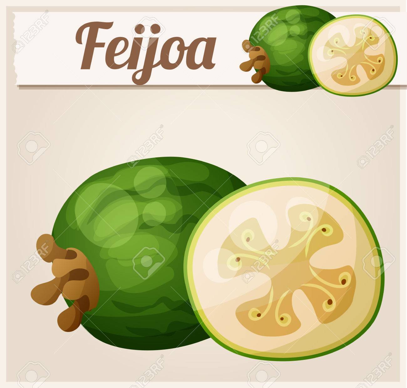 photo Cartoon Feijoa https depositphotos com 235459932 stock illustration fitness feijoa fruit cartoon basket html