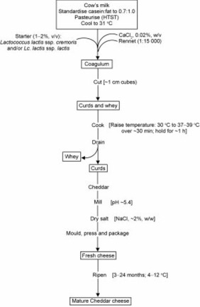 wallpapers Cheddar Cheese Process Flow Diagram cheddar cheese sciencedirect