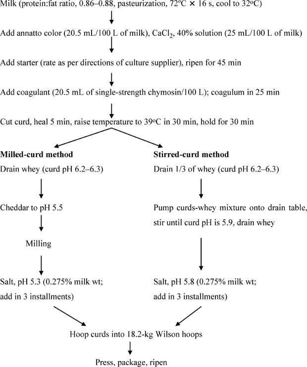 picture Cheddar Cheese Process Flow Diagram milled curd and stirred curd methods
