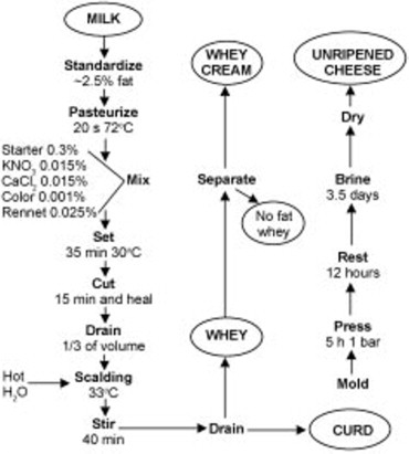 picture Cheddar Cheese Process Flow Diagram efficiency finder