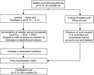 photo Cheddar Cheese Process Flow Diagram flow diagram for the manufacture of