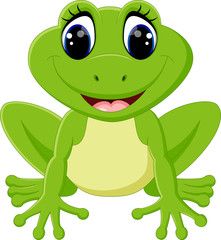 photo Cute Frog Animation https www canstockphoto com license 81497645