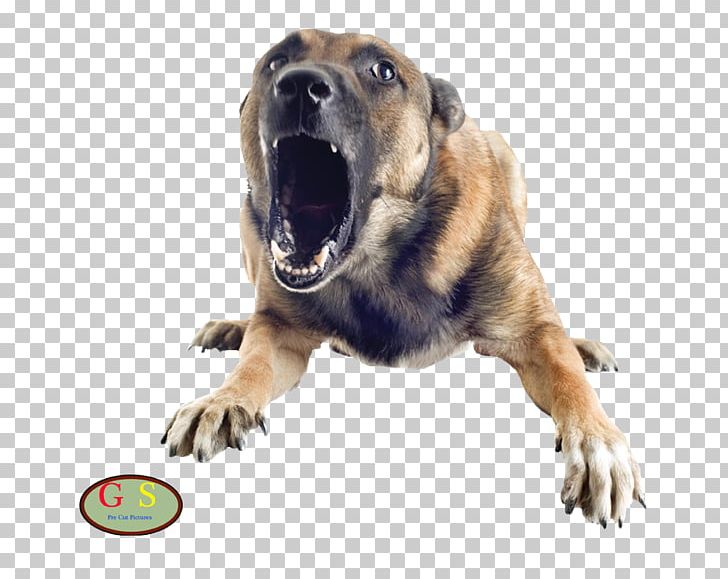 images Dog Barking Png city of st john kansas