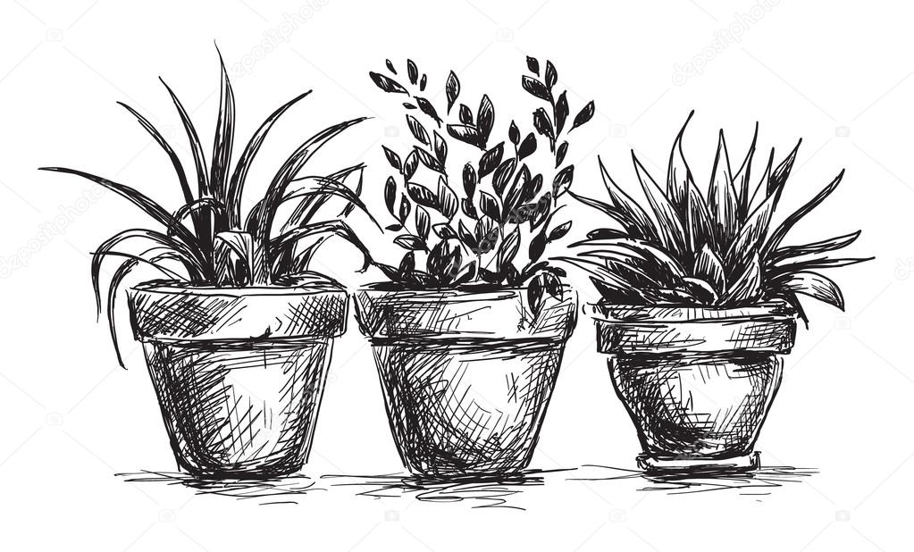 pics Drawing Of A Pot Of Flowers 87 219 flower pot vectors royalty free vector flower pot images depositphotos