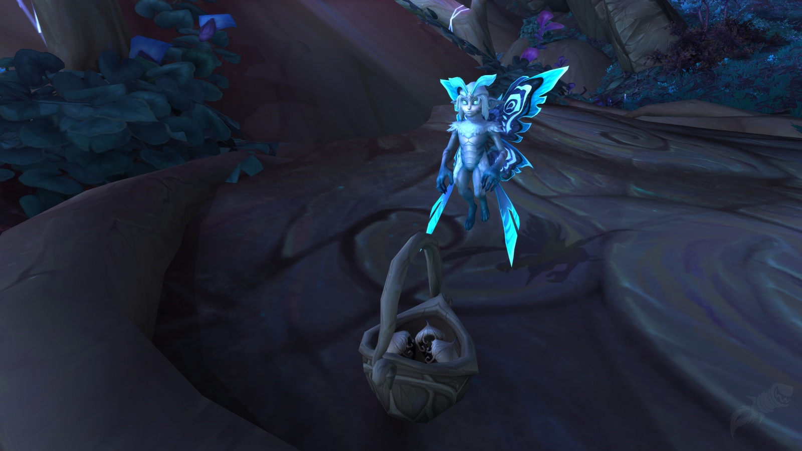 photo Dreamweaver Paragon dreamweaver quest world of warcraft