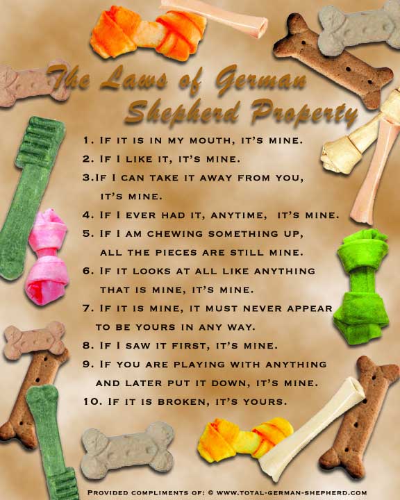 pic German Shepherd Poems german shepherd quotes poems quotesgram