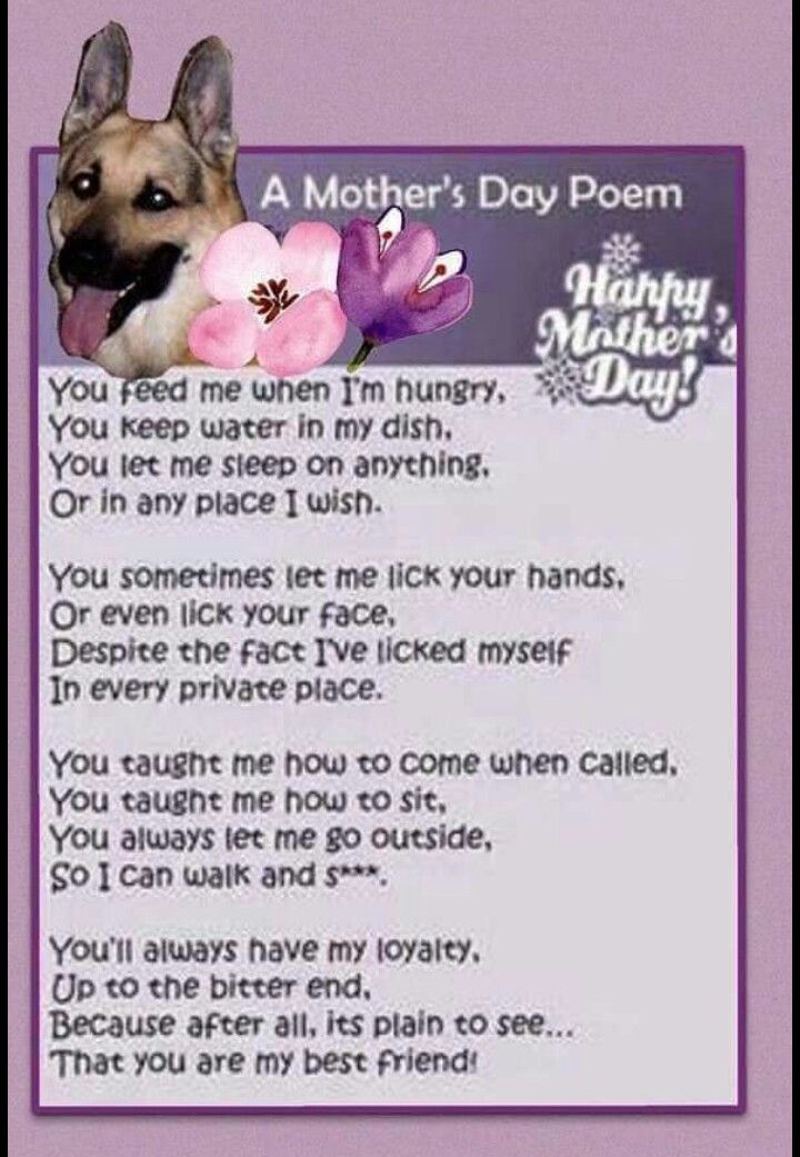 wallpapers German Shepherd Poems german shepherd dog poems dog quotes