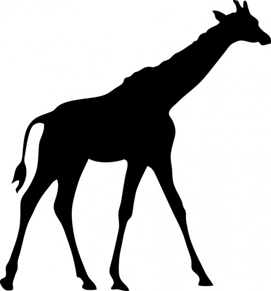 picture Giraffe Silhouette Clipart giraffe silhouette png and giraffe
