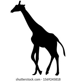 picture Giraffe Silhouette Clipart clipart library