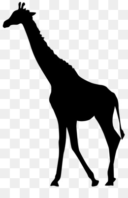 photo Giraffe Silhouette Clipart giraffe silhouette stencil giraffe