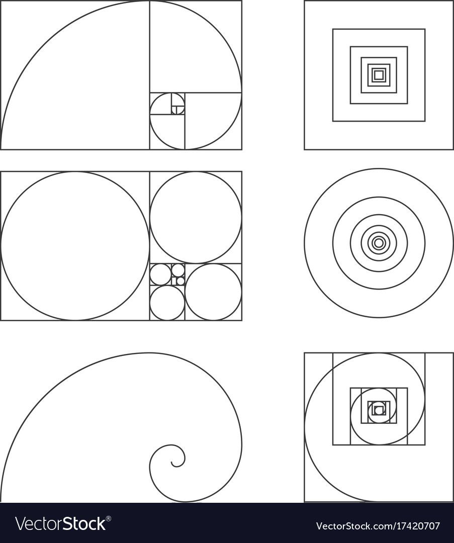 images Golden Ratio Vector Free Download https stock adobe com images golden ratio template vector illustration fibonacci 171901413 start checkout 1 content id 171901413