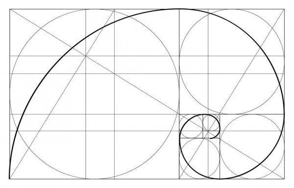 pics Golden Ratio Vector Free Download vectorstock