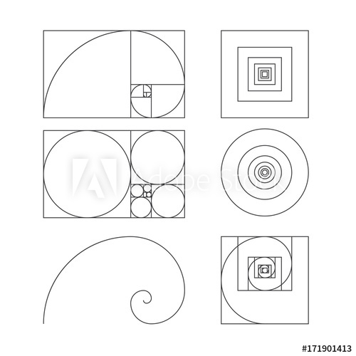 pics Golden Ratio Vector Free Download golden ratio template free vector