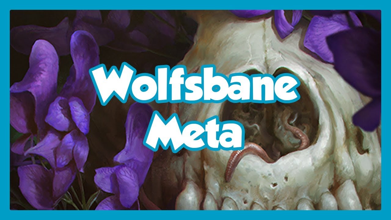 photo Gwent Wolfsbane 4k gwent card art witcher art dark
