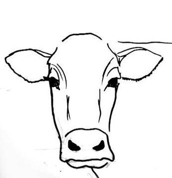 photo How To Draw A Calf Head how to draw a calf head drawing animals
