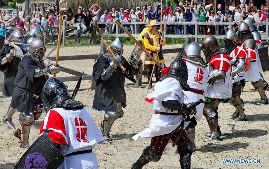 pics International Medieval Combat Federation the medieval combat world championship