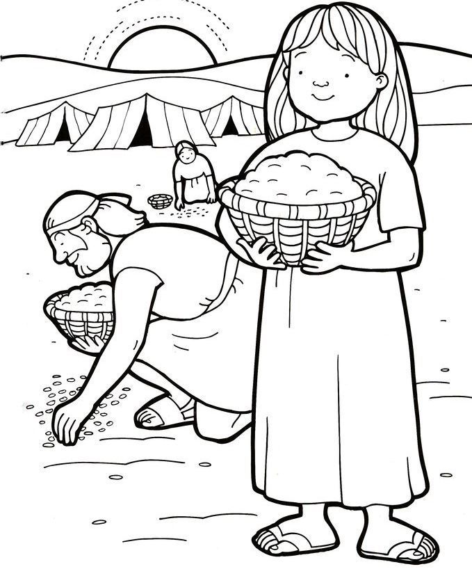 wallpapers Moses In The Wilderness Coloring Page quail and manna coloring pages bible