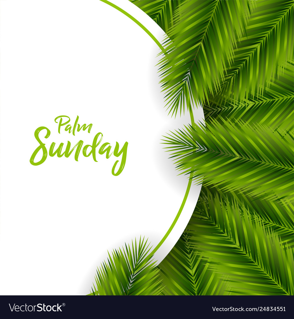 pix Palm Sunday Background Images https www freepik com profile preagreement getstarted 4309211