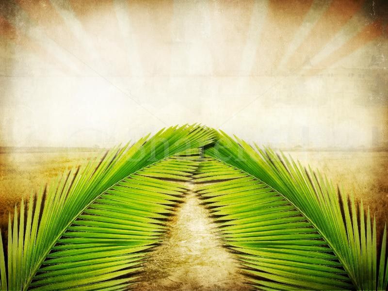 pics Palm Sunday Background Images palm sunday happy palm sunday palm