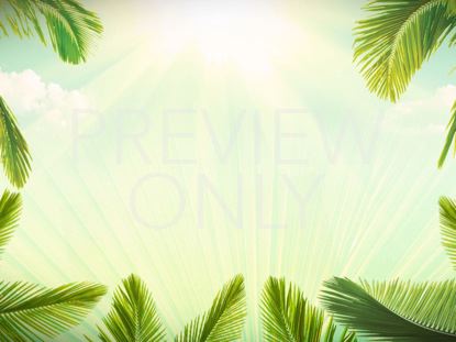 pics Palm Sunday Background Images usd