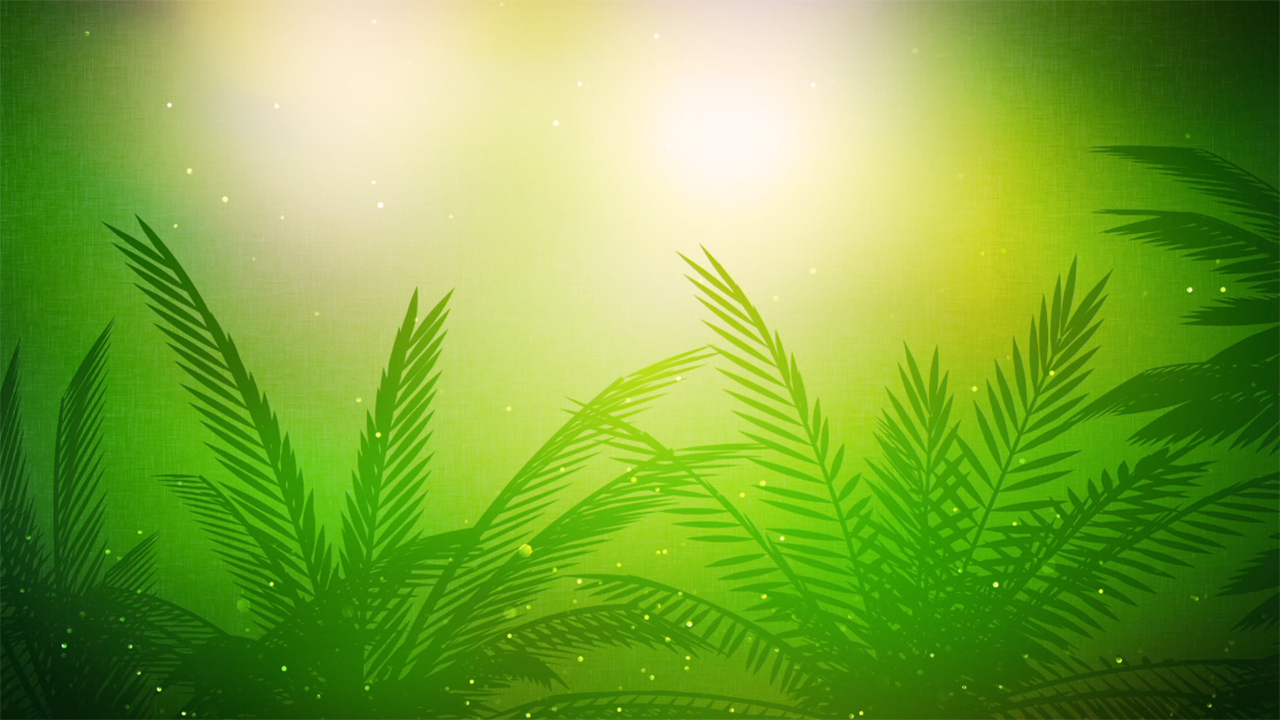 pic Palm Sunday Background Images 6 409 palm sunday photos free