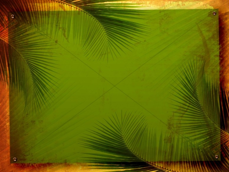 images Palm Sunday Background Images palm sunday wallpaper background