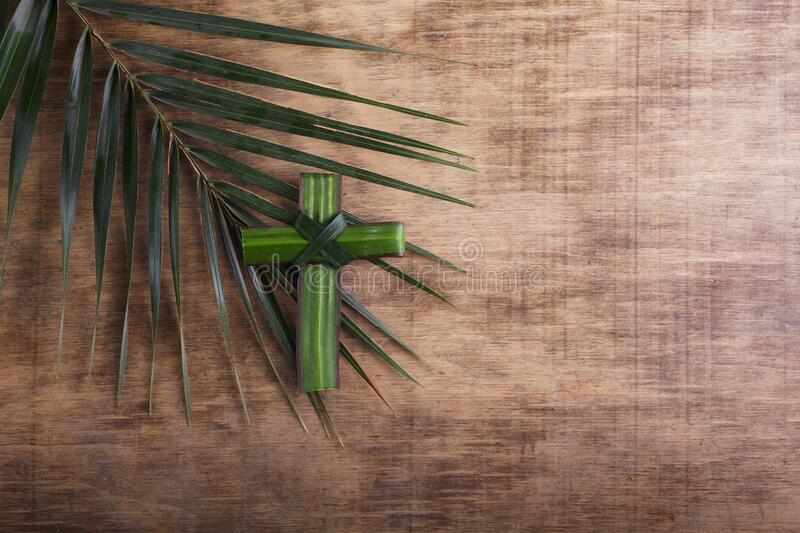 pics Palm Sunday Background Images vectorstock