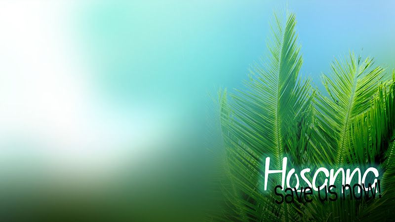 pics Palm Sunday Background Images powerpoint slides