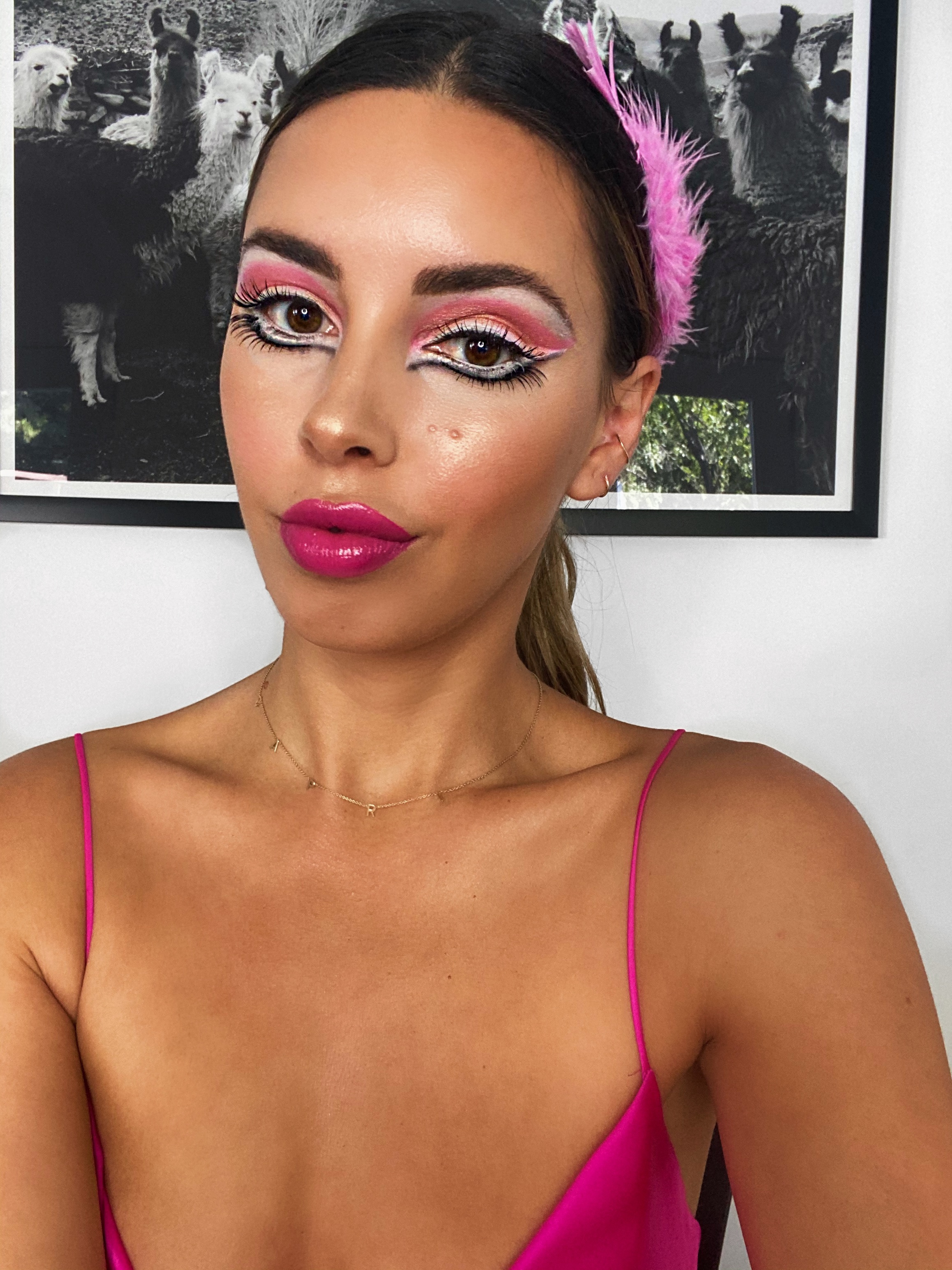 picture Pink Flamingo Mascara sivan ayla
