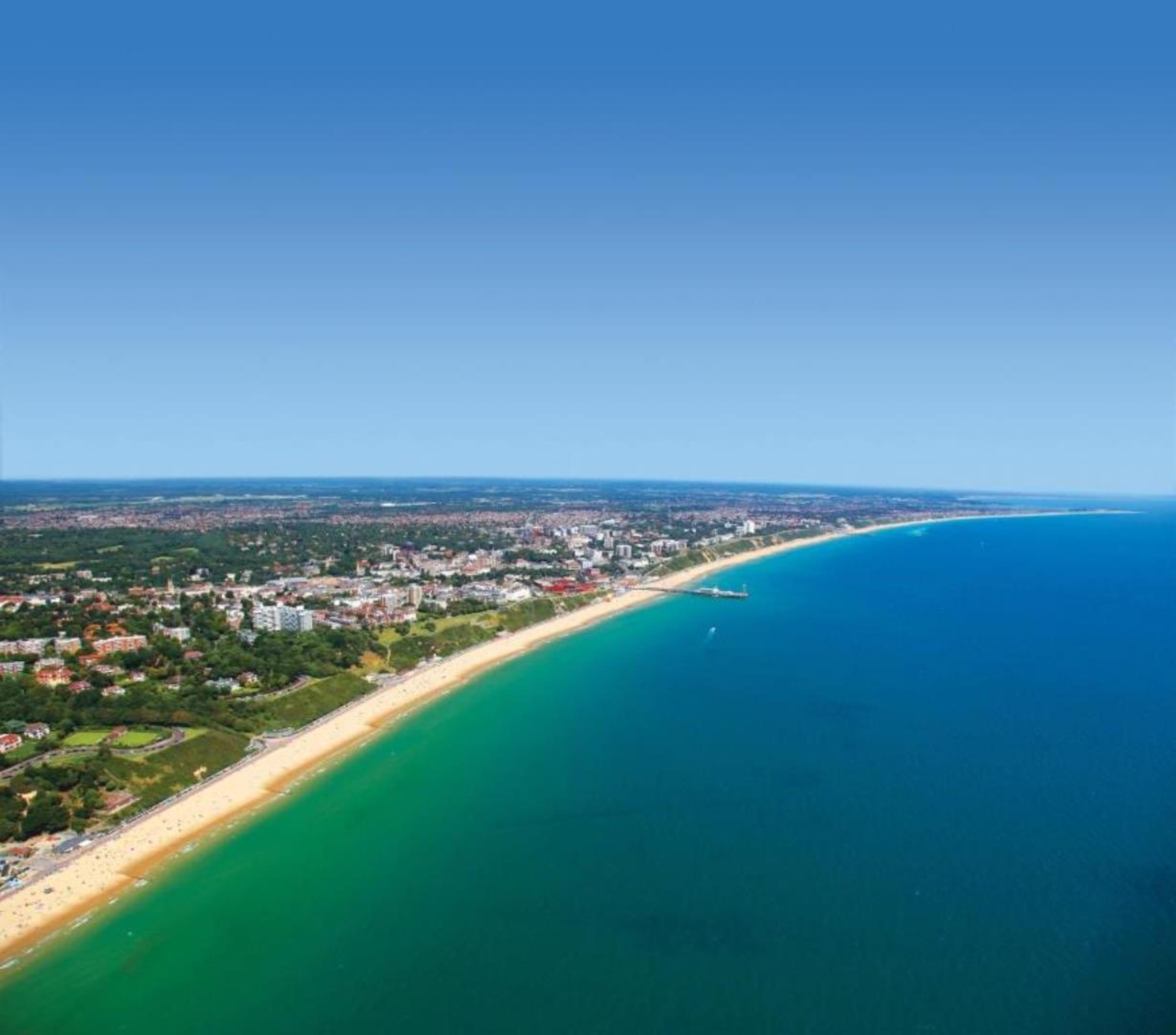 pic Positive Lettings Bournemouth top cat media
