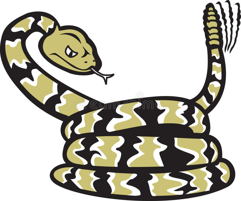 photo Rattlesnake Cartoon Image dg graphics cartoon rattlesnake animal