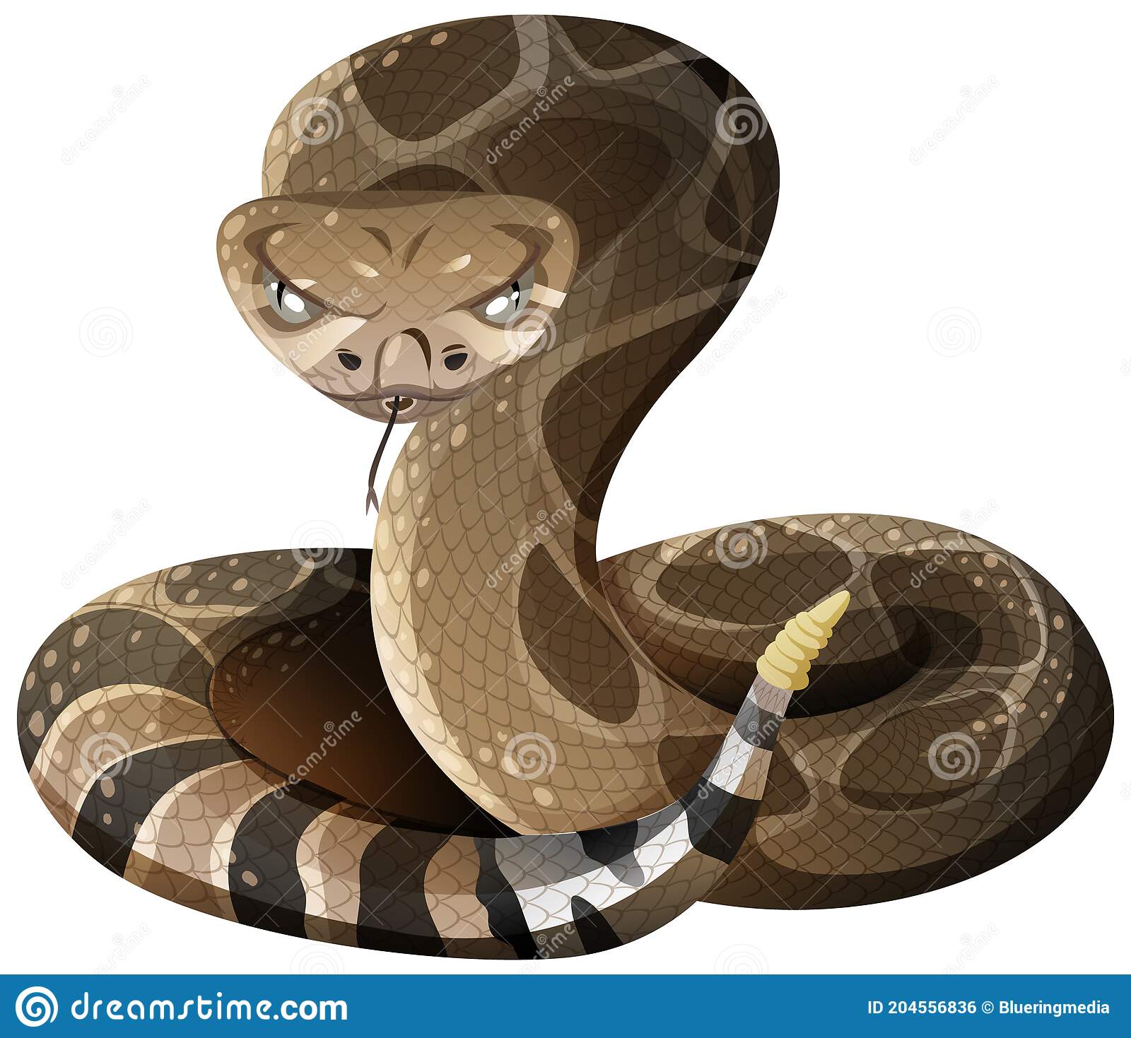 pic Rattlesnake Cartoon Image vectorstock