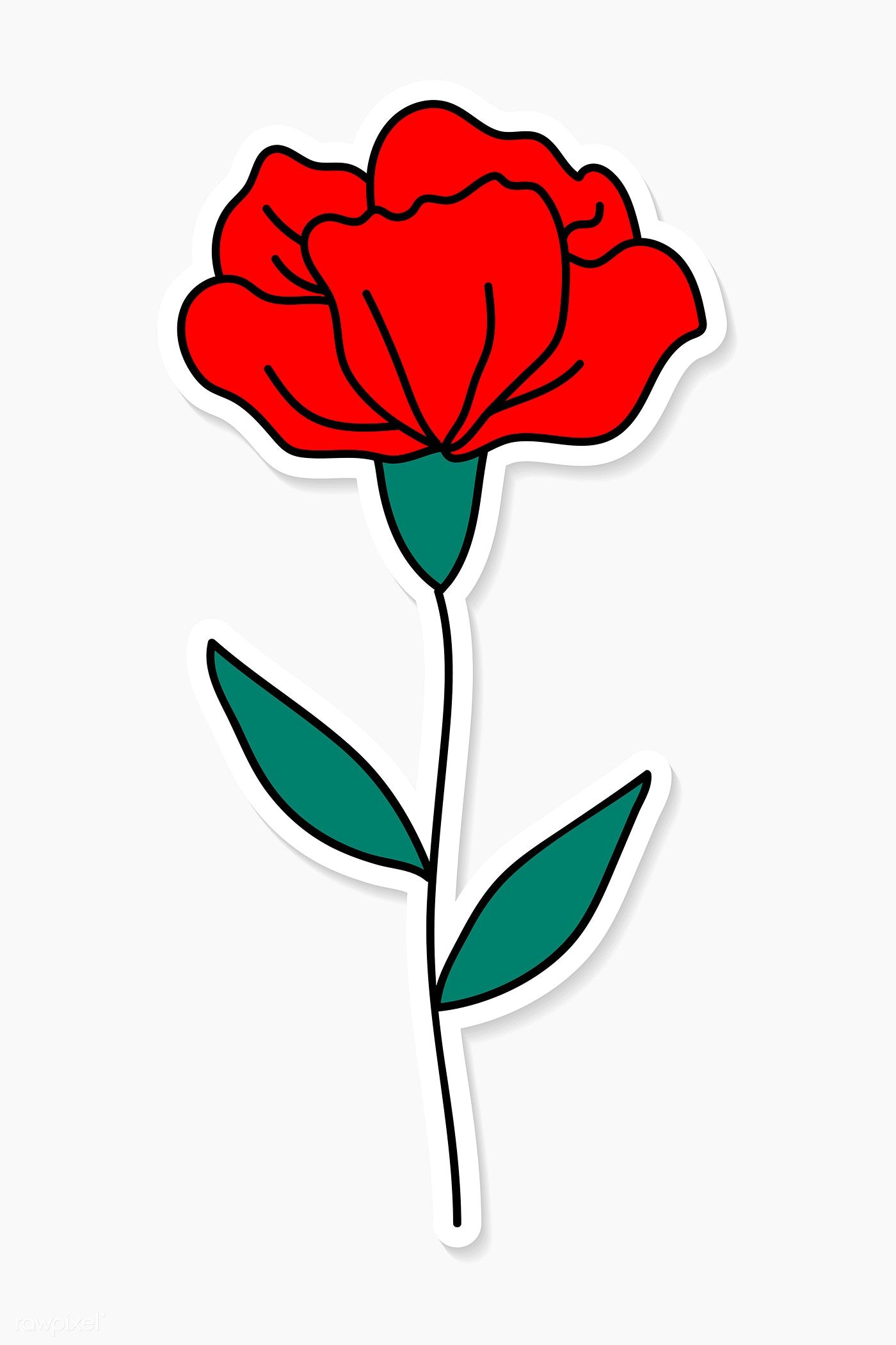 pic Red Carnation Flower Drawing how to draw carnations step by step