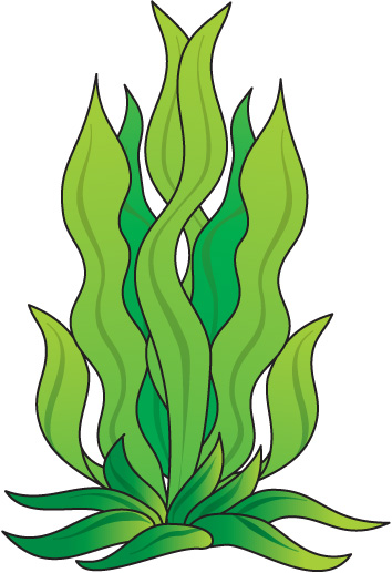 pics Seaweed Clipart Free clipart library
