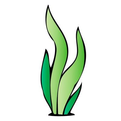 images Seaweed Clipart Free clipartbest