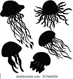 photo Silhouette Jellyfish https www canstockphoto com license 43568694