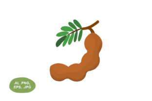 pic Tamarindo Vector https www shutterstock com image vector tamarind 536106007