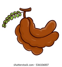 pic Tamarindo Vector tamarind vector art icons and graphics for free download