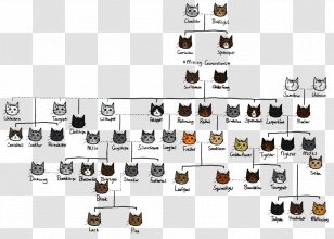 pic Thunderstar Family Tree thunderstars family tree by jadyn russell