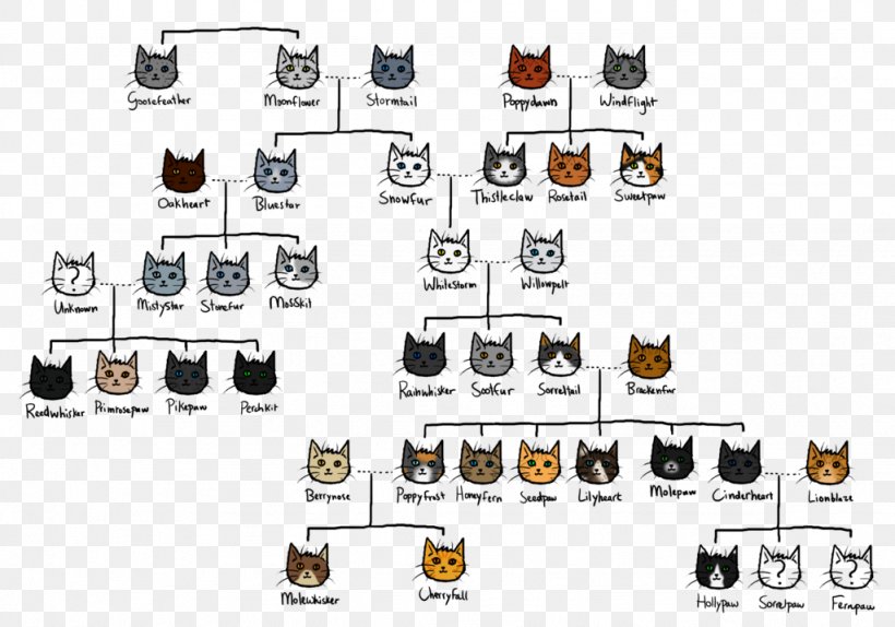images Thunderstar Family Tree cat warriors thunderclan family tree