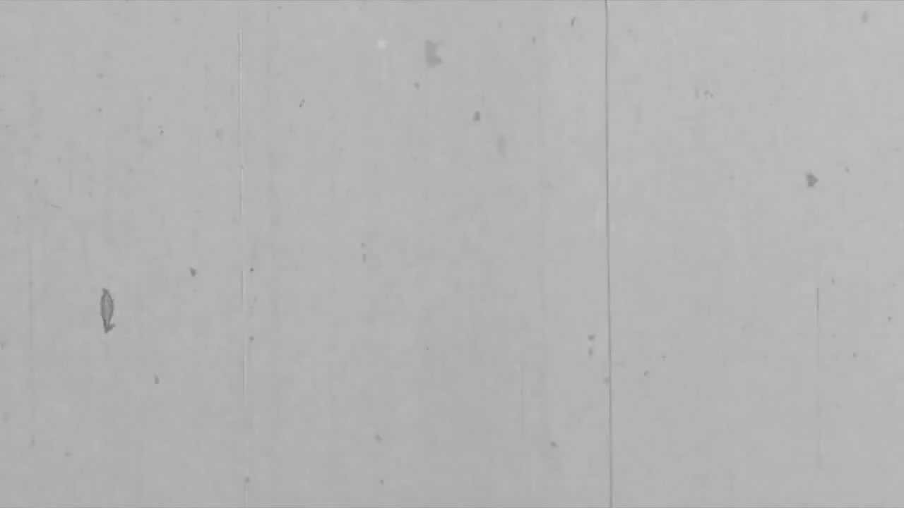 pix Transparent Film Grain schedule2 schedule2 film film grain