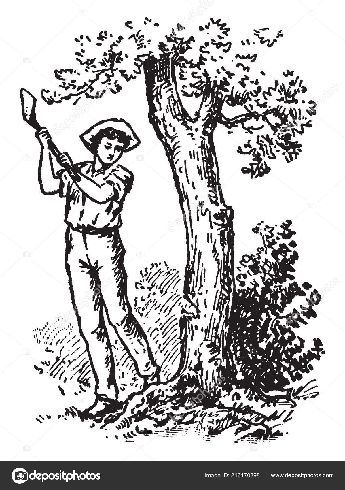 picture Tree Cutting Man Drawing 48 cutting down trees drawing illustrations clip art
